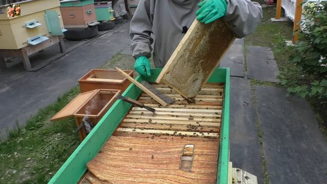 Только ТАКИЕ семьи принесут большой мёд❗❗❗ смотреть онлайн