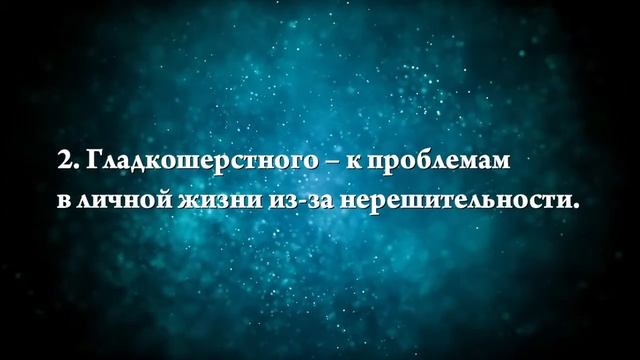 К чему снится кормить котенка - Онлайн Сонник Эксперт смотреть онлайн