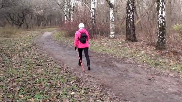 Техника скандинавской ходьбы смотреть онлайн