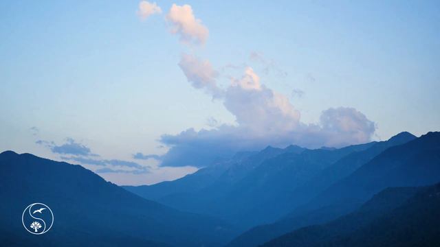 Здоровые патриархальные отношения ч1 смотреть онлайн