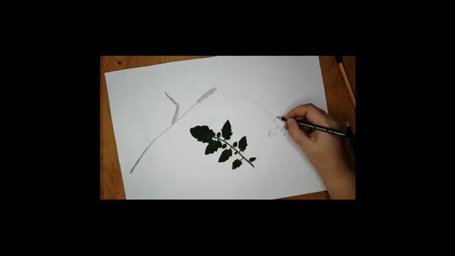 Рисунок Основы изобразительного искусства смотреть онлайн