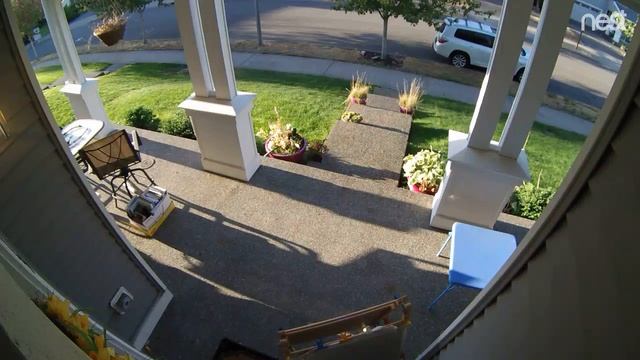 Odell Street Stolen Packages смотреть онлайн