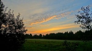 Расслабляющее пение соловья на рассвете для отдыха, сна, учёбы или медитации. Звуки природы