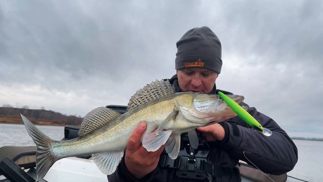 Осень - Balisong 130SP - Судаки! Отличная рыбалка на воблеры в ноябре на Каме смотреть онлайн