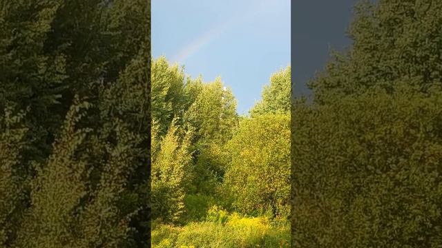 После грозы , урагана, в небе радуга, кусочек из-за окна видно, автомобили, машины