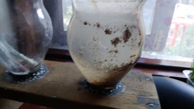 Артемия.Разведение.Инкубация.Ферма артемии. часть 2 смотреть онлайн