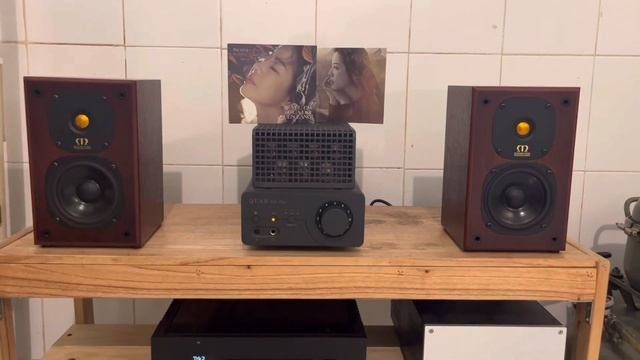 quad va one+monitor audio gold 1 смотреть онлайн