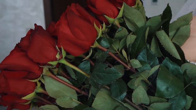 Свадьба. Вячеслав и Елена смотреть онлайн