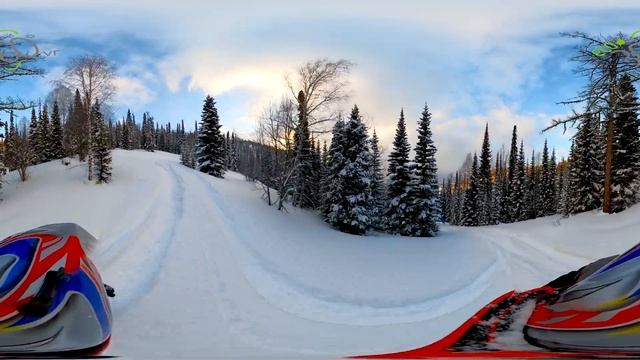Дикий зимний лес - 360° VR Видео - Природа - 360 degree video -Горы Алтая смотреть онлайн