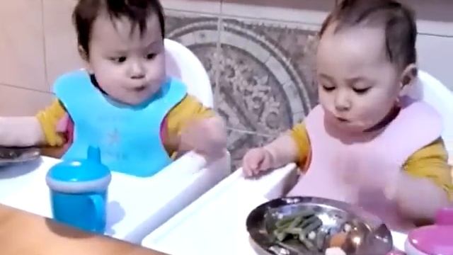 When two mighty babies fight for food...... смотреть онлайн