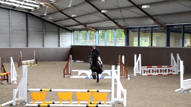 Friesian Horse jumping BIG cross country fences in Ireland (only his second time jumping) смотреть онлайн