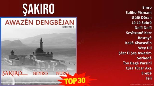 Ş a k i r o MIX Türkçe Şarkılar ~ Top Electronic Music смотреть онлайн