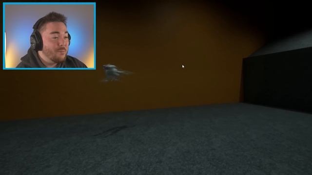 FLOODING EVERYTHING IN WATER!!! (flynn is happy) | Garten of Banban 3 (Mods) смотреть онлайн