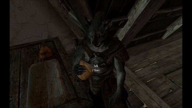 Interesting NPCs - J'Sharr смотреть онлайн