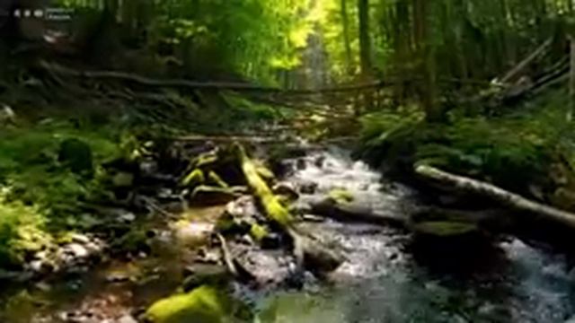 Лечебная Музыка для Снятия Стресса, Усталости, Депресии, Негатива, Детокс негативных эмоций смотреть онлайн