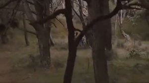 Рауф Фаик - Детство (клип) || Rauf Faik - Detstvo