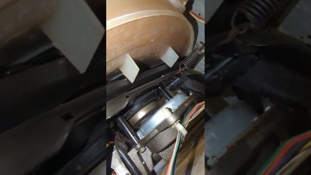 Roach infestation (36092) смотреть онлайн