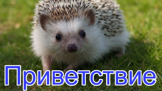 VR-игры Онлайн смотреть онлайн