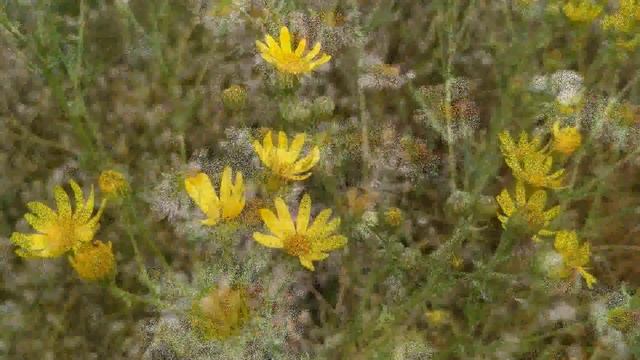 Что нельзя делать в большие церковные праздники? Народные приметы и традиции. смотреть онлайн