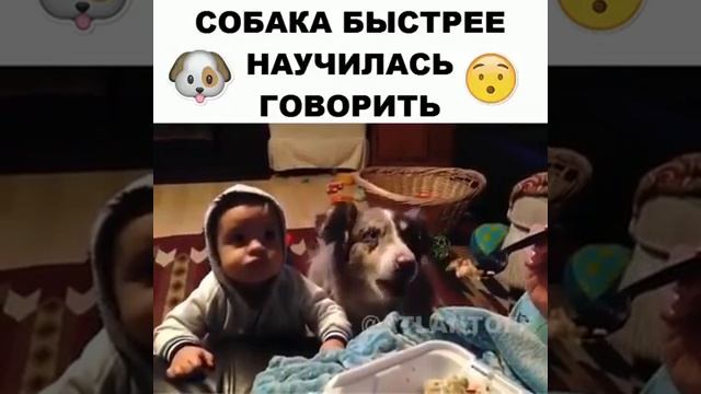 когда научился говорить смотреть онлайн