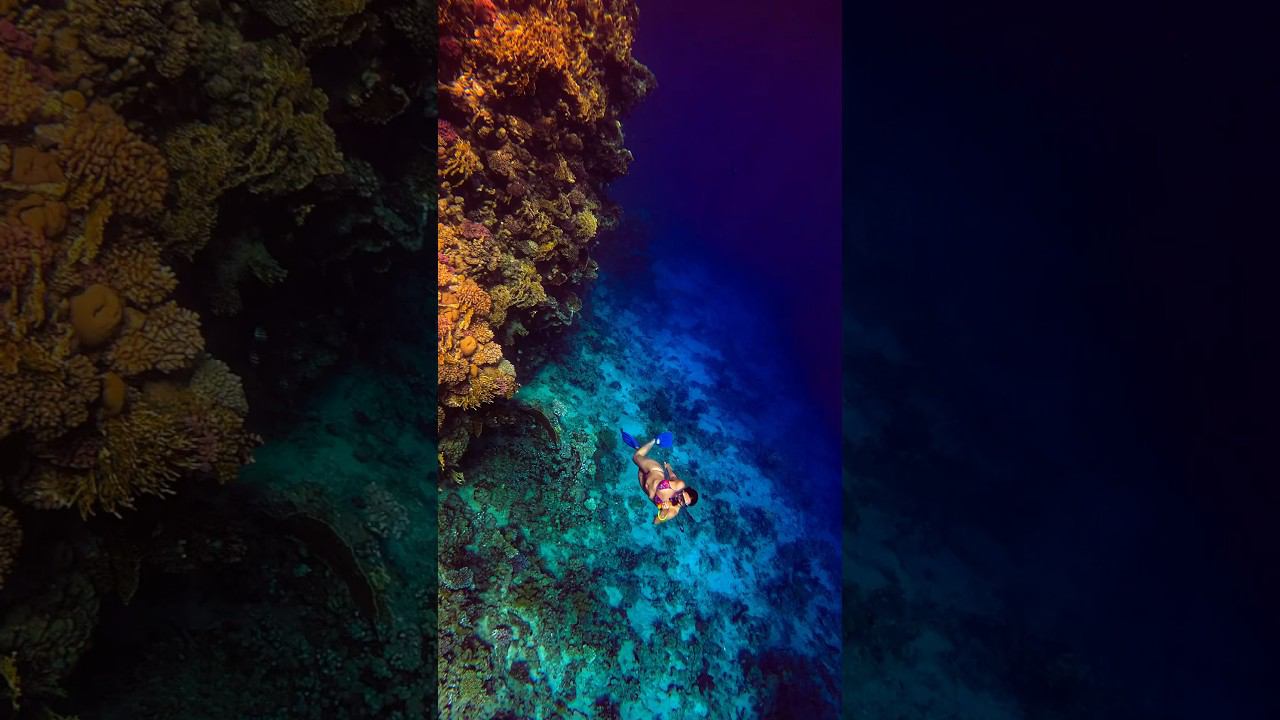 Осторожно! Увидев это однажды, полюбишь навсегда # #фридайвинг #underwater #freediving смотреть онлайн