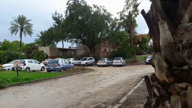 ОБОРОНА ТИРАТ ЦВИ (вся правда о евреях и об Израиле) смотреть онлайн