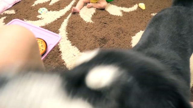 VLOG: КАК СДЕЛАТЬ МАКИЯЖ ЗА 5 СЕКУНД?! ? 31.10.19 смотреть онлайн