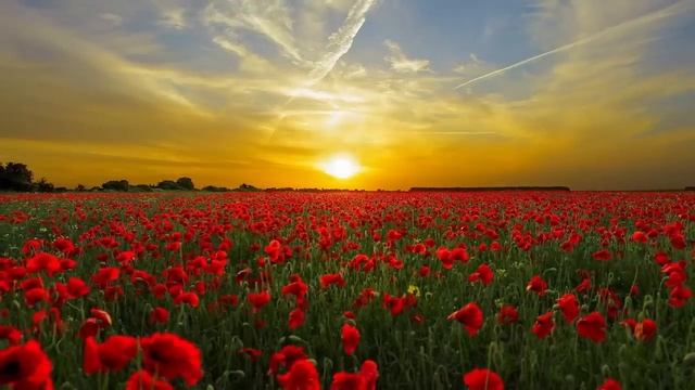 Тая платила за безработного мужа алименты, но бывшей оказалось мало... смотреть онлайн