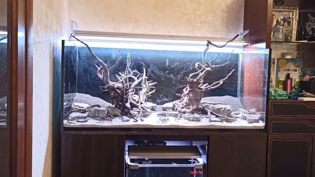Перезапуск аквариума на 300 литров. смотреть онлайн