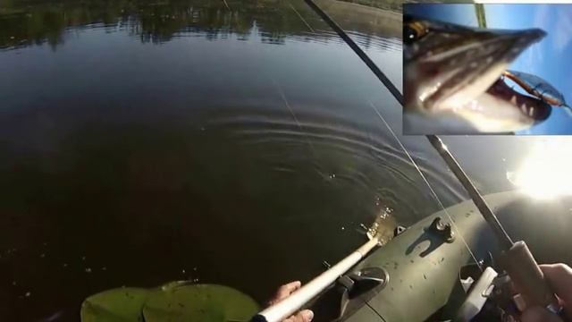 Пять лучших SR воблеров для щуки по стабильности результата. смотреть онлайн