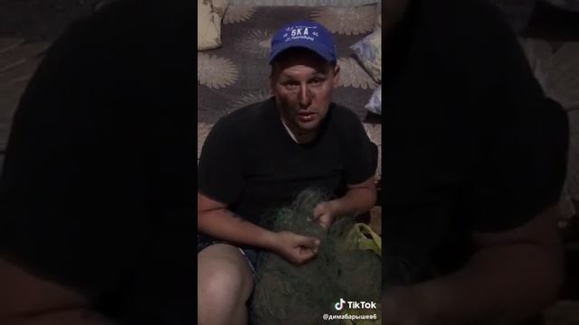 Рыба пила с рыбнадзором смотреть онлайн