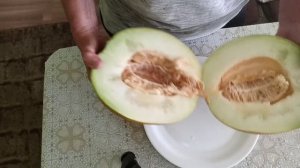 Дыня медовая.Тестирую штатив.