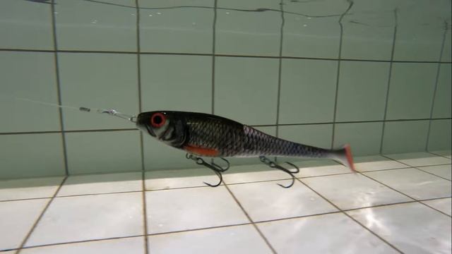 X-rap Peto 20cm og 83 gram lure demo Rapala смотреть онлайн