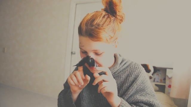 чёрная маска от чёрных точек / из активированного угля смотреть онлайн