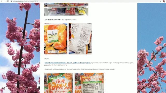 How To Survive As A Vegan/Vegetarian In Japan: 10 Important Tips For An Easy And Delicious Vacation