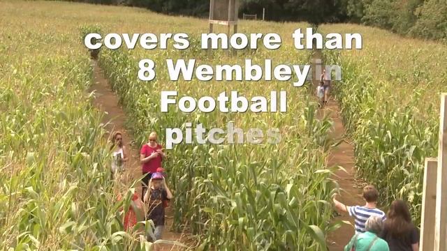 YORK MAZE | Giant Maize Maze смотреть онлайн