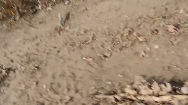 Сигвей по бездорожью! смотреть онлайн