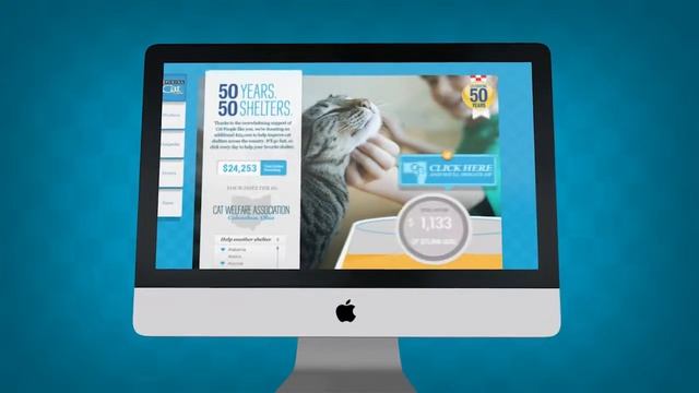 Purina Cat Chow: 50 Years, 50 Shelters Case Study смотреть онлайн