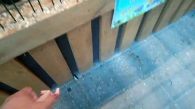 Трогательный зоопарк в Ейске 19.08.2022 смотреть онлайн