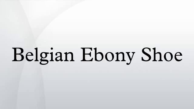 Belgian Ebony Shoe смотреть онлайн