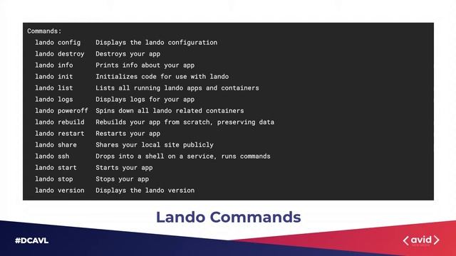 Local web development environments made easy with Docker and Lando смотреть онлайн