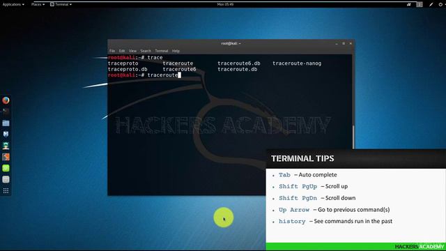 004 Горячие клавиши в терминале Kali Linux смотреть онлайн