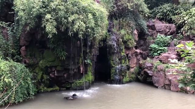 СУЧЖОУ| КИТАЙСКАЯ ВЕНЕЦИЯ | ЧТО ПОСМОТРЕТЬ В СУЧЖОУ  | САДЫ СУЧЖОУ  | SUZHOU