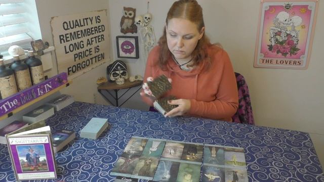 Sagittarius- They're about to make a scene and their orientation has them confused смотреть онлайн