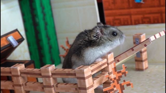 ? Хомяк сбегает из лабиринта Надзирателя в Мрачных Глубинах Майнкрафт ? смотреть онлайн