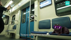 Регулирование температуры в вагоне метро  | Кот Бублик