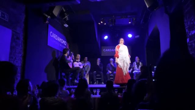 Flamenco tablao Cardamomo. Madrid. смотреть онлайн
