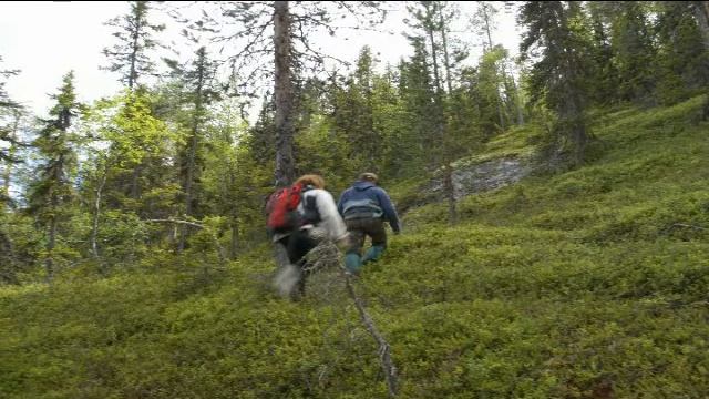 северо-западная Карелия, Княжегубское вдхр. - оз.Кукас смотреть онлайн
