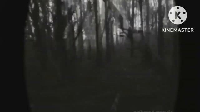 страшно? если да Ставь лайк смотреть онлайн