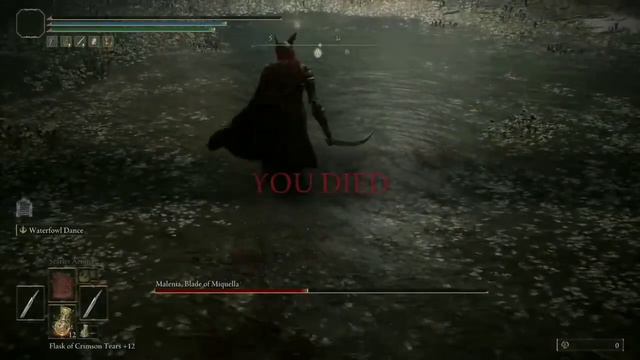 Elden Ring - Training With Malenia [8] (Waterfowl Dance Dodge Light Load) NG5+ [Patch 1.05]